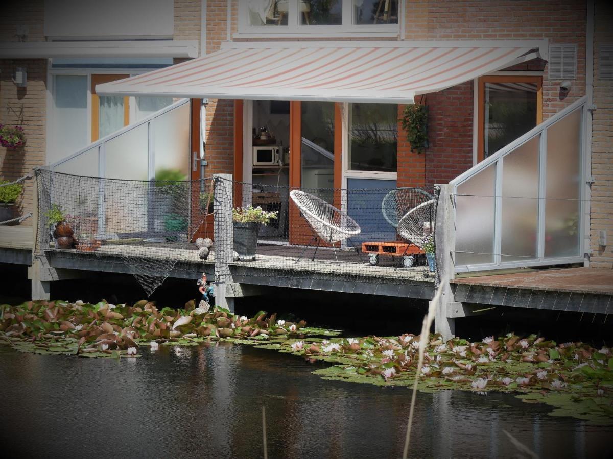 Dutch African Breeze Den Helder Kültér fotó